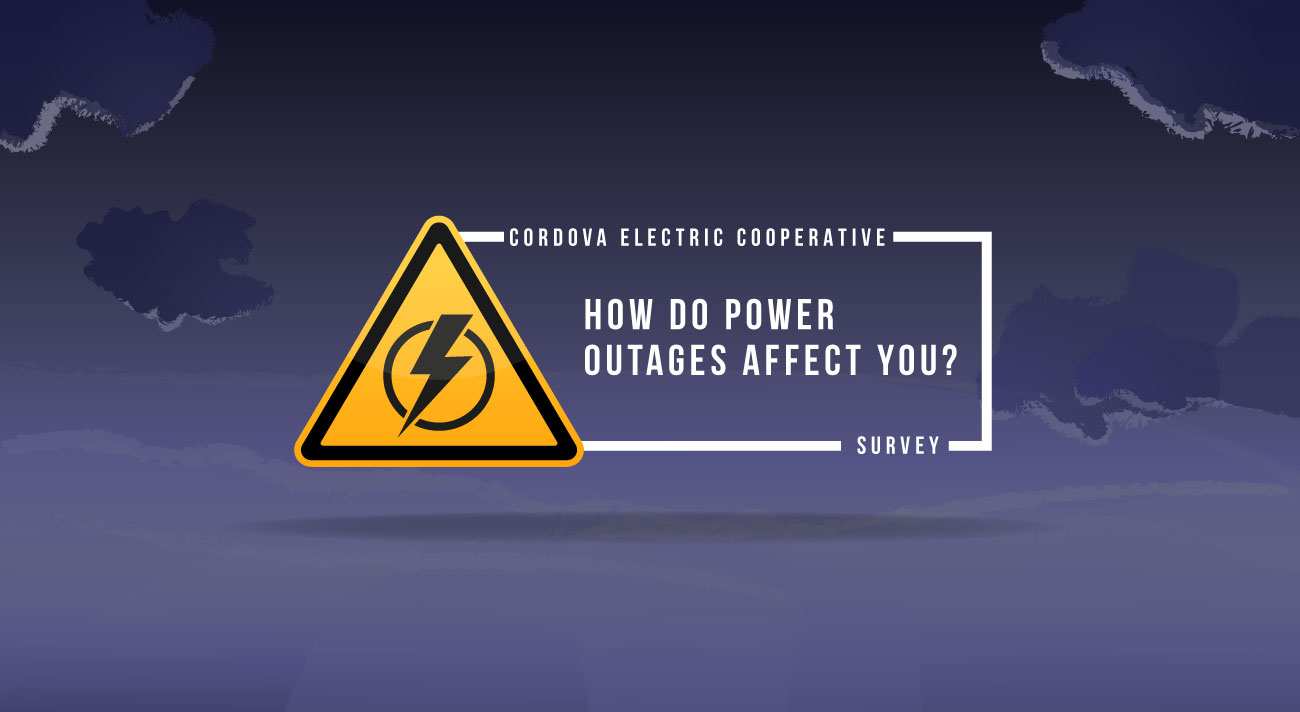 Power Outages Survey